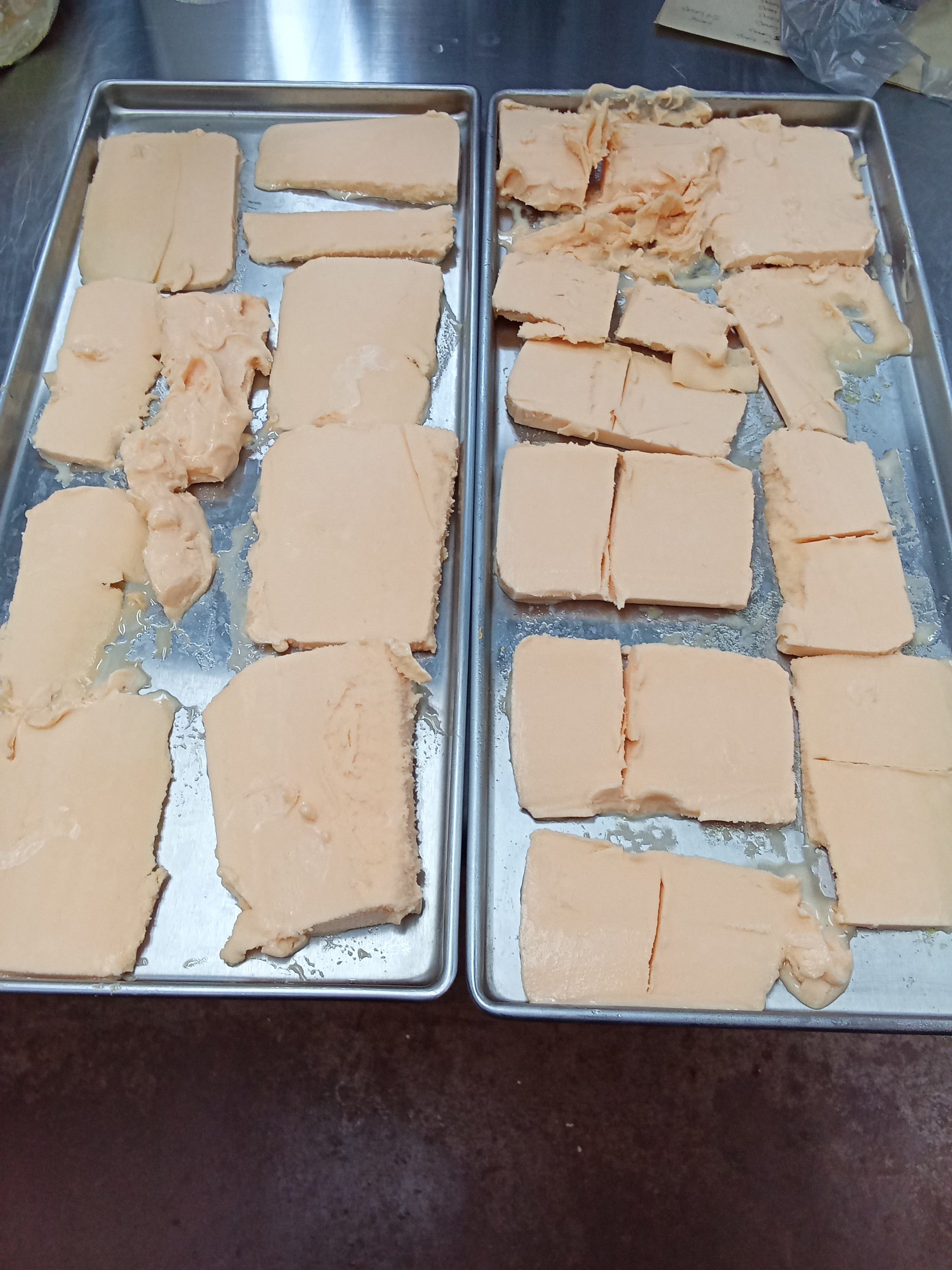 Freeze Dried Orange Sherbet Ice Cream